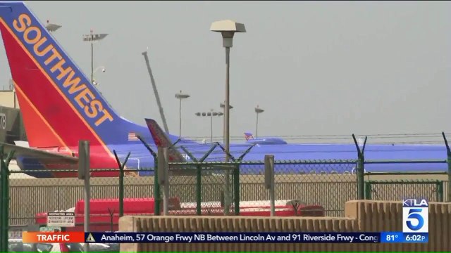 World War II Enthusiast with Replica Guns at LAX Causes Major Delays, Traffic Backup