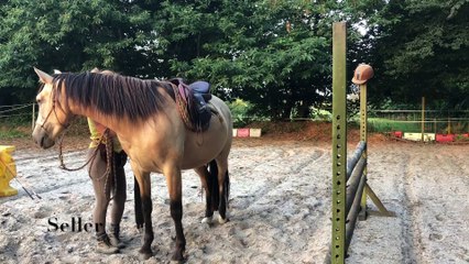 Evaluation STEP 1 MONTEE Jessica Debauve