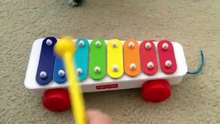 How play Twinkle twinkle little star Fisher Price xylophone