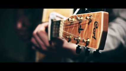 Hey brother Avicii (acoustic cover by Damien McFly feat. Facs)