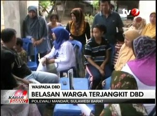 DBD Mewabah, Belasan Warga Polewali Dilarikan ke Rumah Sakit