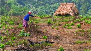 Laos Wonderland - Nature Documentary