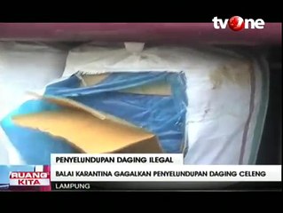 Penyelundupan 500 Kilogram Daging Celeng Kembali Digagalkan