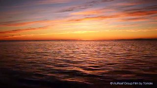 Perfect Sunset 60 min/Meditation Nature Sound/Help to Sleep, Study, Work, Relaxing