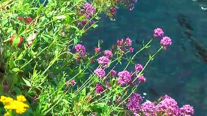 Visit Ireland theEmerald Isle:vibrant cities,green countryside and nature paradise.