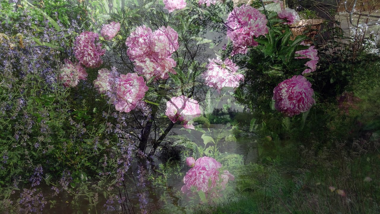 Test fusion images bis