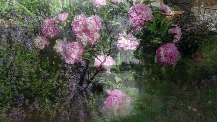 Test fusion images bis