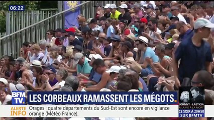 Los cuervos 'barrenderos' de Puy du Fou