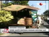 Ribuan Santri di Sleman Pawai dengan Gerobak Sapi Sambut Ramadhan