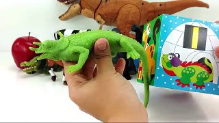 Learn Alphabets ABC/Toy Surprises/zoo,Farm,Sea Animals/Dinosaur,Lion/slime Stress Ball