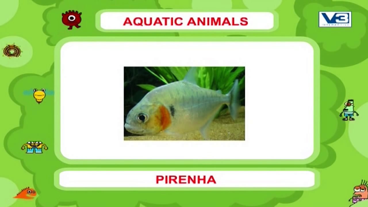 Learn The Names Of Aquatic Animals | Learning Video | Kid Rhymes