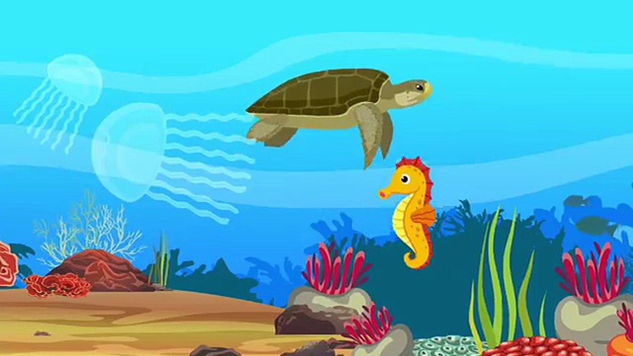 Adventures in the sea Baby elephant shark octopus whale dolphins sea turtle Number Color P