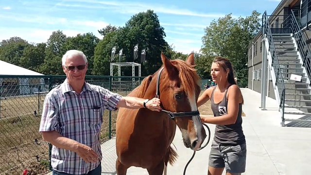 Séquence émotion chez Animaux en péril ASBL: les parrains rencontrent leurs filleuls chevaux, cochons, ânes, etc.