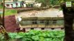 கேரளா வெள்ளம்: சரிந்து விழும் வீடுகள் - அதிர்ச்சி வீடியோ | Kerala | TTN