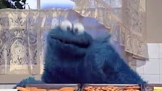 Sesame Street: Cookie Monster: Its Important