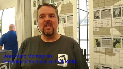 Les sauvetages les plus marquants d'Animaux en Péril: le calvaire de Xérès et Polly