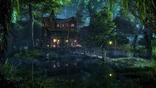Swamp Sounds at Night Frogs, Owls, Crickets, Light Rain, Forest Nature Sounds | 3 Hours