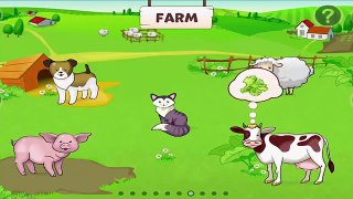Baby Panda Play & Learn About Animals | Zoo Playground With Lots Of Animated Animals For K