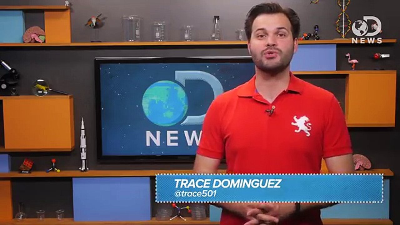 Is a Blood Moon a Sign Of the Apocalypse?