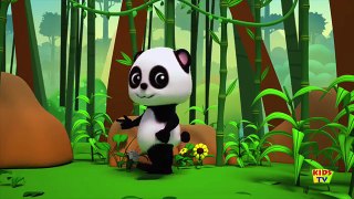 Bao Panda | ringa ringa roses | nursery rhymes | kids songs | baby videos | Baby Bao Panda