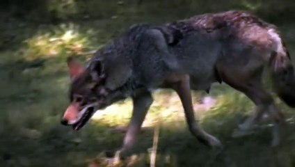 Ol Man River - Mighty Mississippi (Part 2)