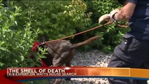 The Scent of Death: Police Dogs and the Chris Watts Investigation