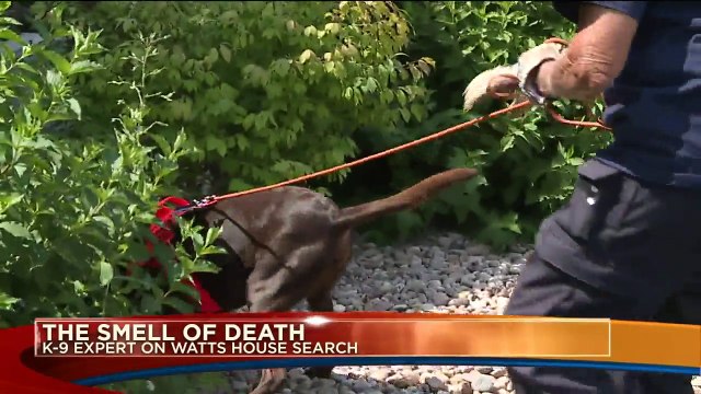 The Scent of Death: Police Dogs and the Chris Watts Investigation