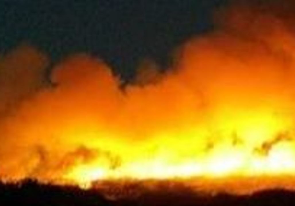 Blaze in Shoal Bay as Hunter Region Copes With Spate of Winter Bushfires