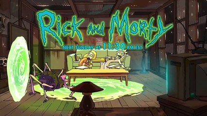 Rick and Morty S03E07 Promo Breakdown and Rick's Wife