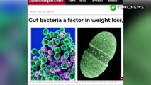 Bakteri ini sebabkan orang susah untuk kurus - TomoNews