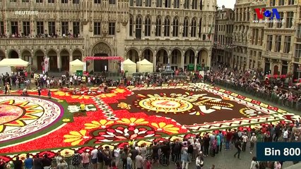 Brüksel’deki Çiçekten Halı Yine Görenleri Büyüledi