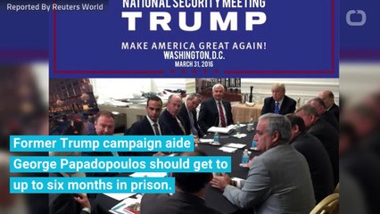 Mueller Wants To See George 'Coffee Boy' Papadopoulos Serving Hard Time