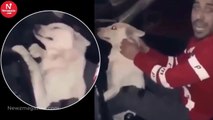 Sick Thug Repeatedly Hits His Dog In The Head While His Friends Are Laughing?!