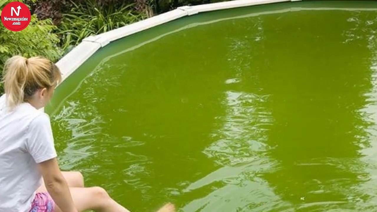 Grandma Creates Pool Cleaning Hack That Goes Viral