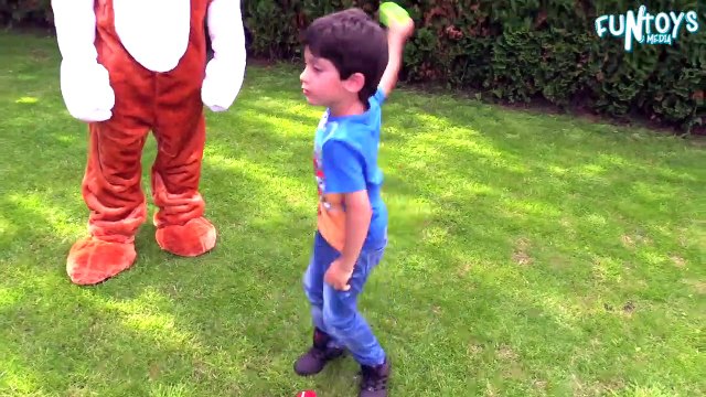 Learn Colors with Dogs for Children, Toddlers and Babies | Real VS Fake Animals Tennis Ball Colours