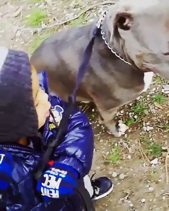 Bébé qui promène Rosko