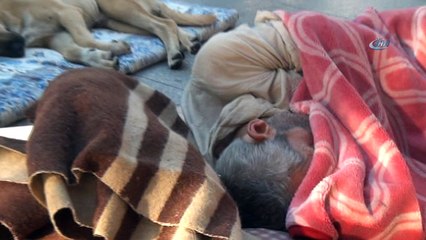Yıllardır cadde üzerinde köpekle birlikte uyuyan adam yürekleri sızlattı