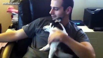 Funny Cute Dogs Love Their Human Owners Compilation 2014