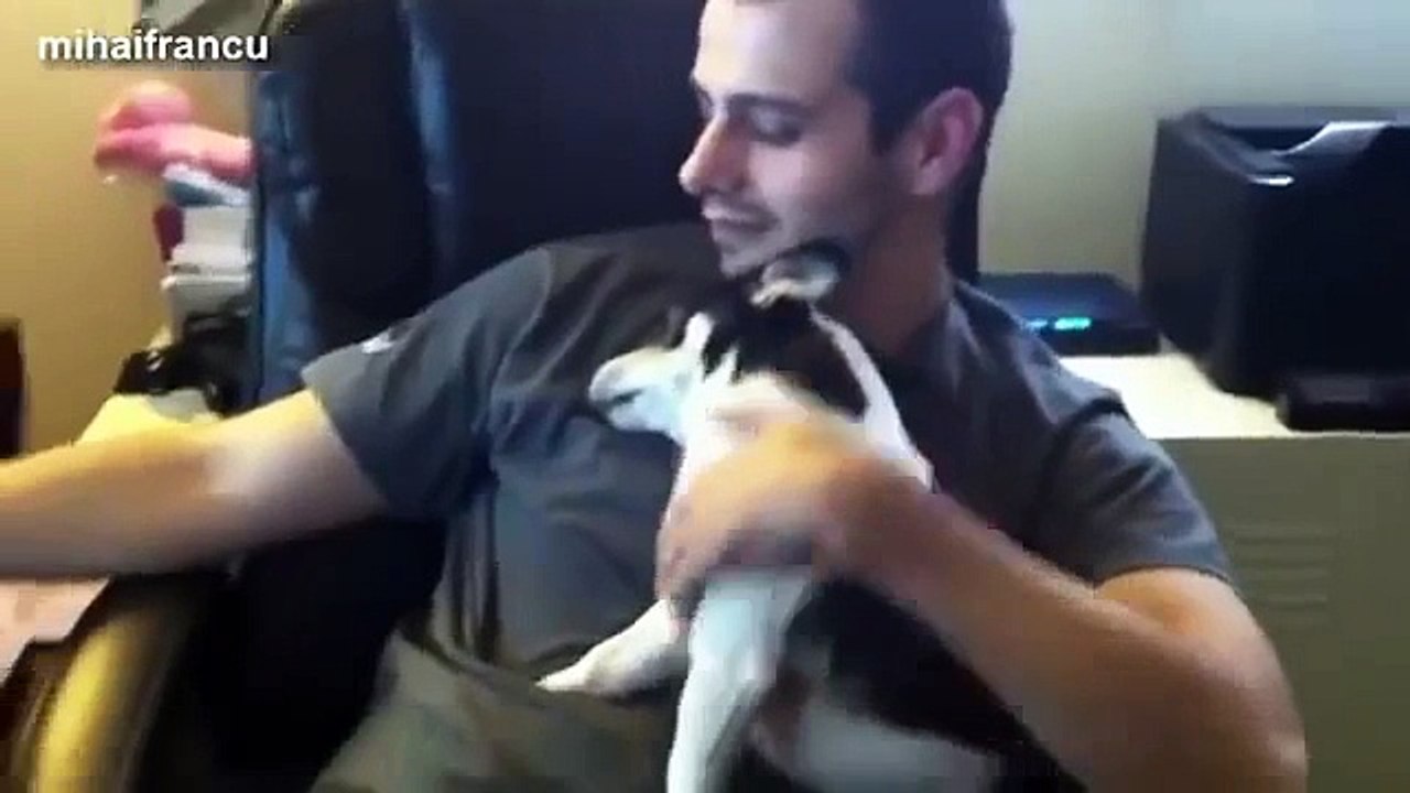 Funny Cute Dogs Love Their Human Owners Compilation 2014