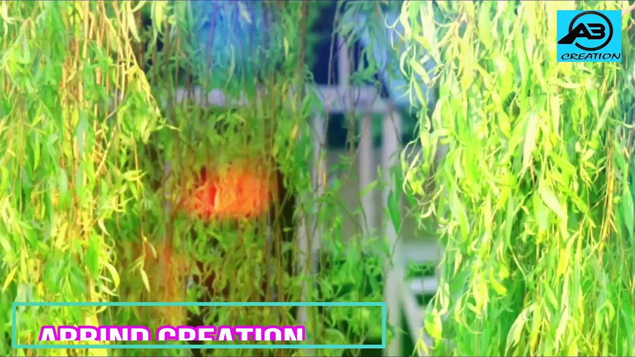 New Latest Whatsapp Status 2018