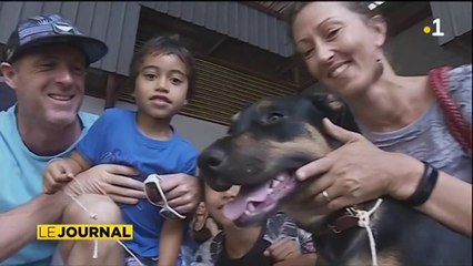 Quand les meilleurs amis de l’homme cherchent une famille adoptive