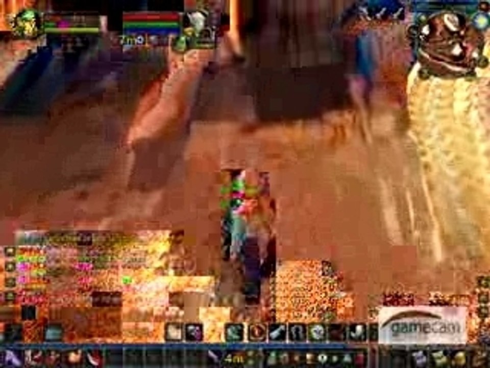 Zorro do WoW