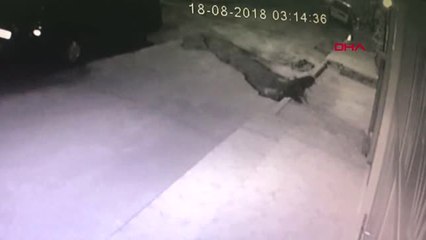 Bartın Bartın'da Sapık Hırsız Yakalandı Hd