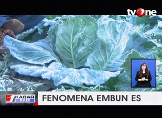 Fenomena Embun Es di Gunung Semeru, Pendaki Diminta Waspada