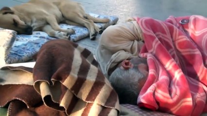 Yıllardır Cadde Üzerinde Köpekle Uyuyan Adam Yürekleri Sızlattı...