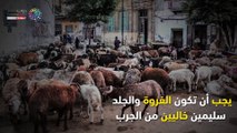 فيديو معلوماتى.. نصائح جهاز حماية المستهلك عند شراء خروف العيد