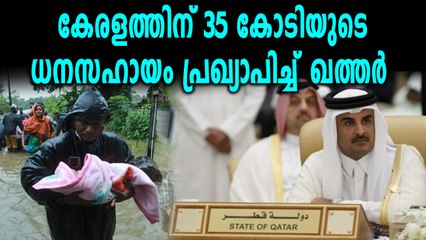 കേരളത്തിന് കൈത്താങ്ങുമായി ഖത്തര്‍ | OneIndia Malayalam