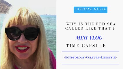 Why the Red Sea is called like that ?