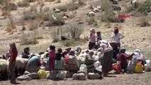 Hakkari Hakkari'de 3 Bin 500 Rakımlı Yaylada Kuzu Kırpma Şenliğ