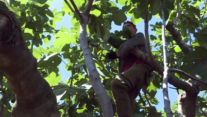 'Bursa siyahı'nda hedef pazar Çin - BURSA